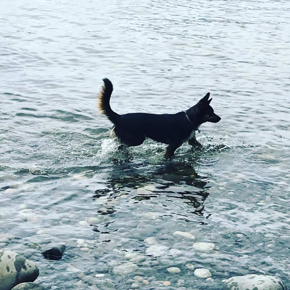 Meet your Posher, Leslie